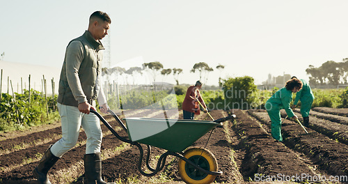 Image of Man, wheelbarrow and soil for working on farm for agribusiness, landscaping or gardening in countryside. Person, walk and field for nutrition, eco development or future growth by planting for harvest