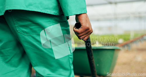 Image of Hand, wheelbarrow and a farmer in a greenhouse for growth, agriculture or sustainability in season. Back, closeup and a equipment on a farm with a person in the countryside for environmental ecology