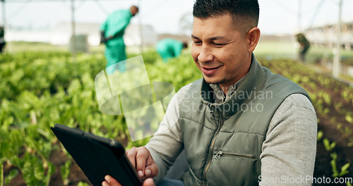 Image of Tablet, innovation and a man in a farm greenhouse for growth, sustainability or plants agriculture. Technology, research and agribusiness with a farmer tracking crops in season for eco science