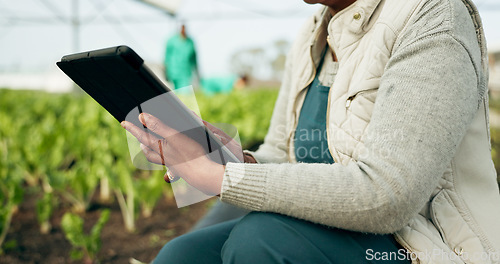 Image of Closeup, hand and farmer with tablet in greenhouse for checking of inventory with plants for harvest. Person, agribusiness and technology for report, quality control and fresh produce for inspection