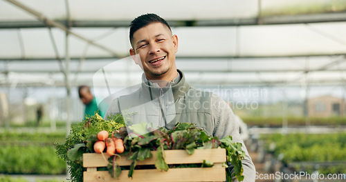 Image of Farmer, man and vegetables box of agriculture, sustainability and farming in greenhouse or agro business. Portrait of happy seller gardening, green product harvest or healthy food in groceries basket