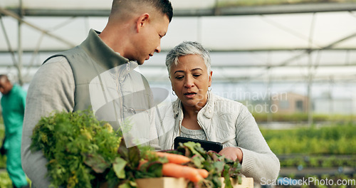 Image of Mature woman, greenhouse and talking with working and agriculture work with a smile of farmer. Sustainability, plants and garden soil with agro career and farming with produce and growth inspection