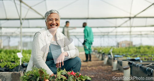 Image of Mature woman, greenhouse and portrait with working and agriculture work with a smile of farmer. Sustainability, plants and garden soil with agro career and farming with produce and growth inspection