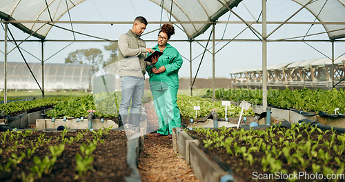 Image of Farmer, woman and tablet in greenhouse or agriculture gardening for land growth, compost or business. Man, inspection person and talking vegetable dirt for online checklist, nature soil or compliance