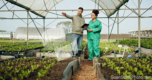 Image of Man, woman and tablet in greenhouse or agriculture gardening, land growth or compost business. Farmer, teamwork and vegetable dirt or inspection manager for soil field for nature, compliance or plant
