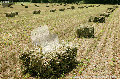 Image of straw