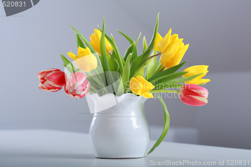 Image of Tulips in vase