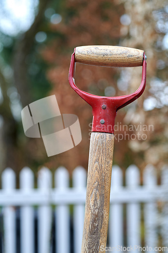 Image of Gardening tool, an old wooden shovel standing in dirt outside in a backyard with blurred white picket fence in autumn background. Closeup handle of garden equipment isolated with bokeh copy space