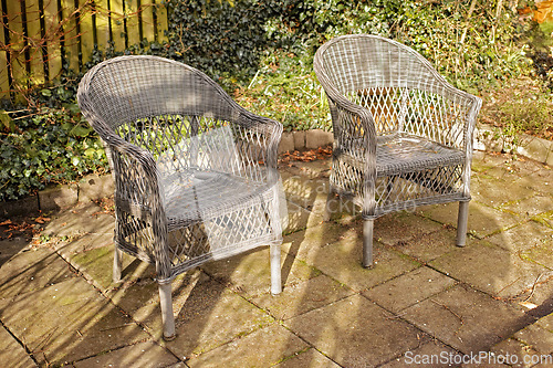 Image of Woven armchairs outside in a rustic garden with green plants for relaxing after gardening. Yard landscape with two wooden chairs in nature in a backyard patio to enjoy the sun on a warm winter day