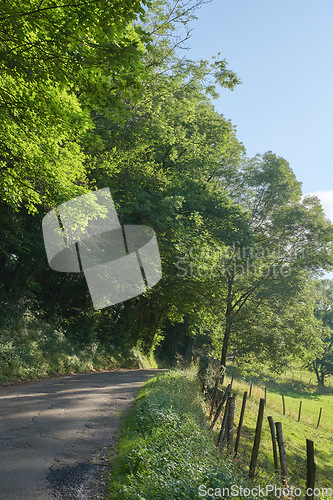 Image of Countryside road through agricultural fields shaded by trees against a clear blue sky. Quiet nature landscape of woods and field or meadow on an empty path. On route to a quiet and peaceful place