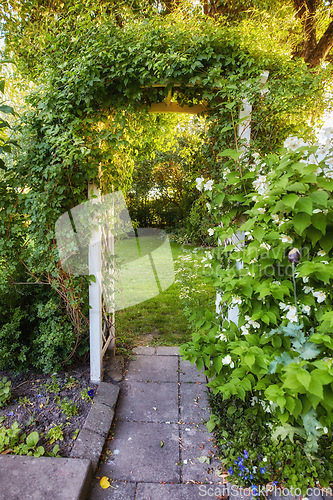 Image of Big outside door in nature to beautiful garden. Decorative neglected arched iron entrance to grass, plants, stone, lush greenery and trees. Busy over grown path with entangled roots on a sunny day.
