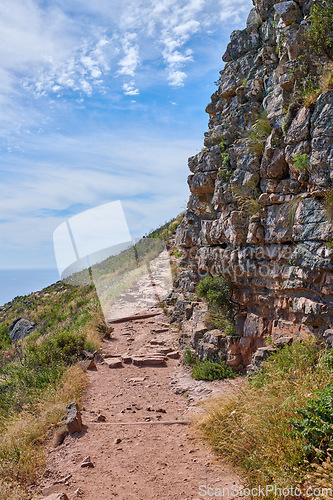 Image of A footpath on mountain in Cape Town, South Africa. Outdoor trail for exploring in a peaceful, breathtaking cliff on Lions Head. Quiet nature in harmony, lush green growth on a peaceful, sunny morning