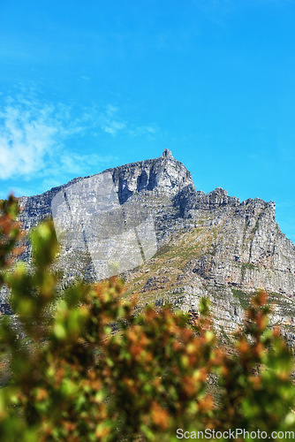 Image of Landscape of a mountain and plants against a blue sky with copy space. A popular travel destination for tourists and hikers to explore. Relaxing view of Table Mountain in Cape Town, Western Cape