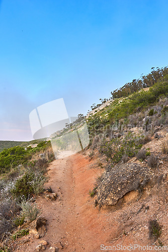 Image of Hiking trail to explore and travel in nature outdoors along the mountain with clear blue sky background and copy space. Landscape with plants and shrubs alongside a rugged and sandy path on a cliff