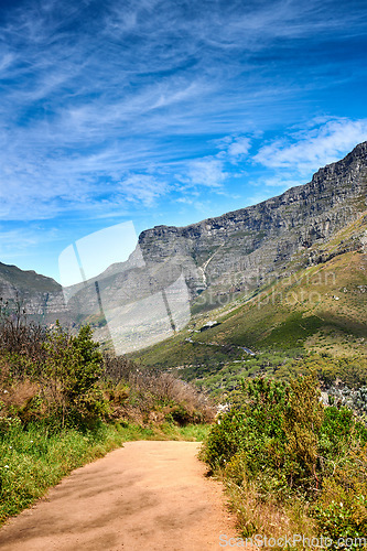 Image of Beautiful mountain trail with bushes and plants with a cloudy blue sky and copy space. A popular destination for tourist in Table Mountain National park on Lions Head in Cape Town South Africa