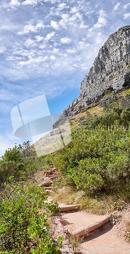 Image of Beautiful mountain trail on sunny summer day. Rocky area next to colourful plants. Isolated natural space in Table Mountain National park on Lions Head in Cape Town South Africa