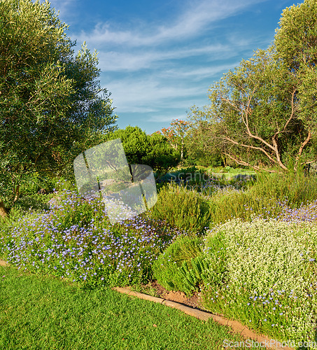 Image of Beautiful and scenic wonderland in nature, filled with vibrant and bright flowers and trees on the mountainside. Landscape of lush green flora in an untouched, uncultivated and secluded wilderness