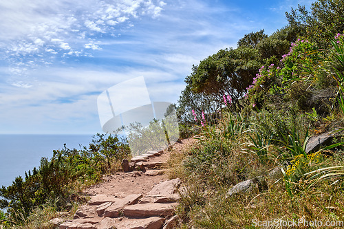 Image of Rocky mountain trail on sunny summer day in Cape Town South Africa. Hiking path next to colorful plants with ocean background. Isolate terrain found on Lions Head in Table Mountain National Park