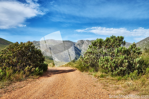 Image of Dirt road leading to mountains with lush green plants and bushes growing along the path with a blue sky background. Landscape view of quiet scenery in a beautiful nature reserve with copy space