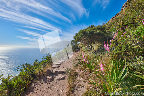 Image of Beautiful mountain trail for hiking and adventure. Explore the rough terrain and mountainous beauty of the coast. Take a scenic journey in the isolated nature reserve of Table Mountain National park