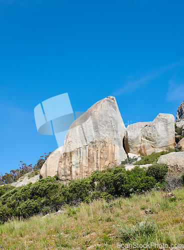 Image of Beautiful nature surrounding Table mountain in Cape town, South Africa with copy space. Lush green bushes growing in quiet harmony. Peaceful soothing atmosphere of nature on a clear, sunny morning