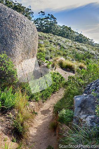 Image of A hiking trail on a rocky green mountain. Beautiful landscape of a mysterious dirt road leading through wild bushes and plants on a hill with a blue sky. A discovery or explore path in nature