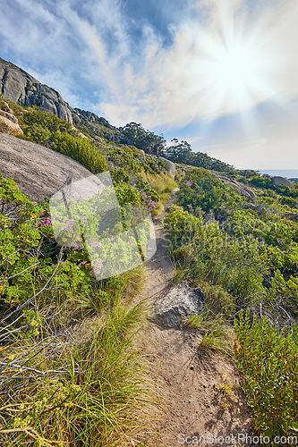 Image of A mountain trail with cloudy blue sky and lensflare. Landscape of countryside dirt road for hiking on adventure walks along a beautiful scenic trail with lush shrubs in Cape Town, South Africa