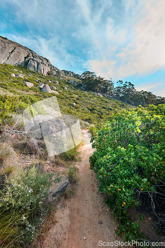 Image of A hiking trail up a mountain surrounded by lush green plants and nature with a cloudy blue sky. Beautiful landscape of a path on a mountainside near bright foliage with copy space on a summer day