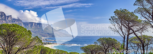 Image of A relaxing ocean view with tall trees, mountains and blue sky with copyspace in Cape Town, South Africa. Popular tourist attraction destination for summer vacation and adventure walks in nature
