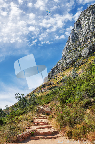 Image of A scenic walking path in nature with greenery and plants against a blue sky with copy space. Hiking trail leading up the mountain on Lions Head and Table Mountain in a National Park in Cape Town.