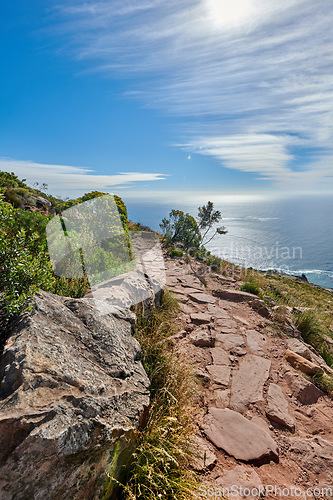 Image of A hiking trail in the coastal location of Lions Head, Table Mountain National Park in Cape Town. Beautiful landscape of a hiking path surrounded by nature and the ocean on a summer day