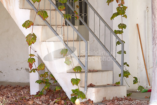 Image of Old stairs outside in autumn with vines hanging and climbing plants growing. Exterior of forgotten white house with concrete staircase and metal railings with dry dead leaves covering the ground
