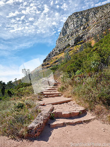 Image of Scenic hiking trail along Table Mountain in Cape Town, South Africa with lush plants against a cloudy blue sky background. Panoramic of a beautiful and rugged natural landscape to explore and travel