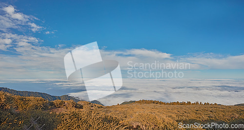 Image of landscape of open field of yellow grass on a hill for a relaxing outdoor camp or hike in nature while on vacation in La Palma island during autumn. Mountain top at sunset with blue sky and clouds