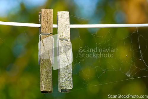 Image of Wooden pegs with spider webs on a washing line against a blurred background. Closeup of a cobweb strung alongside two weathered old clothespins. Ecosystem and biodiversity of nature in a modern world