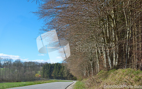 Image of A countryside road in spring with blue sky background and copy space. A nature landscape of an empty roadway winding through forest trees with regrowth in a sustainable eco environment on a sunny day