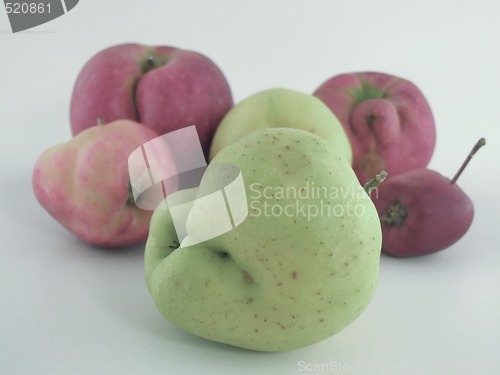 Image of mutant apples