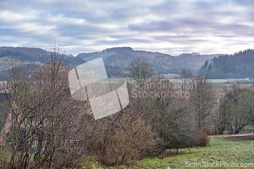 Image of Landscape view of a grassy and deserted field for agriculture and gardening. Secluded and empty grassland or forest with trees, bushes and greenery. Plants and vegetation in a remote area in nature