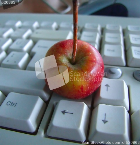 Image of tiny apple on keyboard