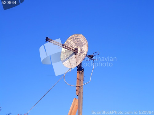 Image of primitive antenna