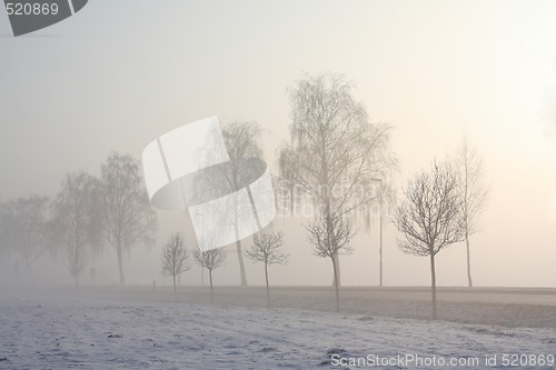 Image of snow field in fog