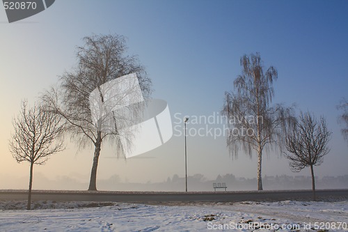 Image of snow field in fog