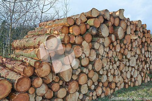 Image of Wooden logs