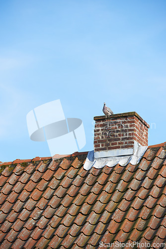Image of Bird sitting to nest on red brick chimney on slate roof of house building outside against blue sky background. Construction of exterior escape chute built on rooftop for fireplace smoke and heat