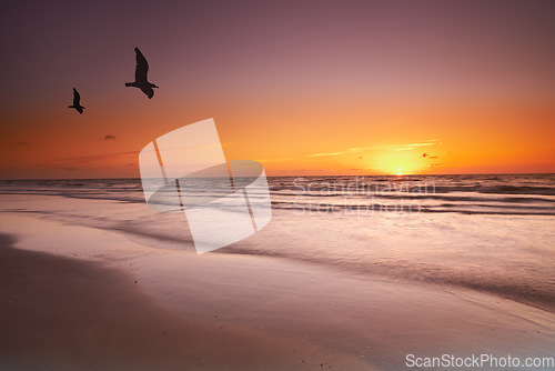 Image of Seascape and landscape of a golden sunset on the west coast of Jutland in Loekken, Denmark. Beautiful cloudscape on an empty beach at dusk. Birds flying over the ocean in the evening with copyspace