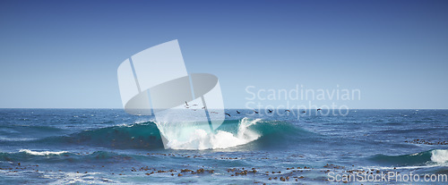 Image of One wave crashing in the sea with seagulls flying and copy space. Rolling waves in a calm peaceful ocean against a blue clear sky. Calm and serene nature scene. Waves by the seaside on a shoreline