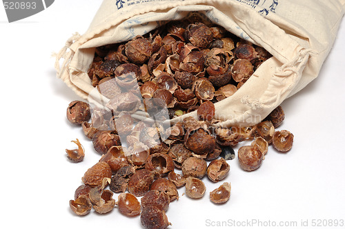 Image of Waschnuesse, Soap nuts