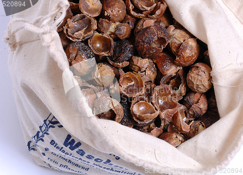 Image of Waschnuesse, Soap nuts in a bag