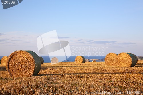 Image of Straw bales