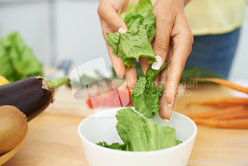 Image of Closeup, hands and woman with salad, bowl and nutrition with wellness, lettuce and ingredients. Person, kitchen or girl with vegetables, home or food with lunch, breakfast or natural plant based diet